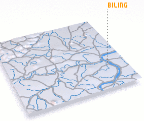 3d view of Biling