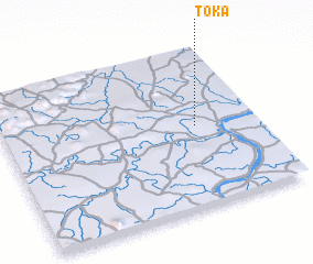 3d view of Toka