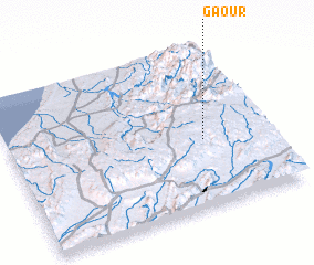 3d view of Gaour