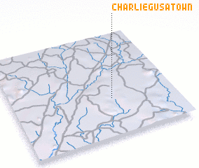 3d view of Charlie Gusa Town