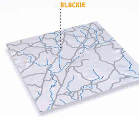3d view of Blackie