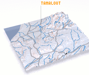 3d view of Tamalout
