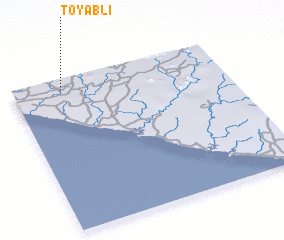 3d view of Toyabli