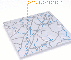 3d view of Charlie Johnson Town