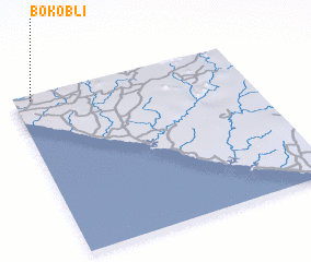 3d view of Bokobli