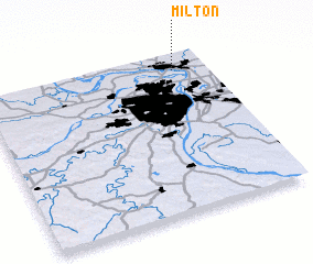 3d view of Milton