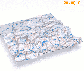 3d view of Payaque