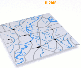 3d view of Birdie