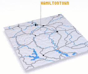 3d view of Hamilton Town