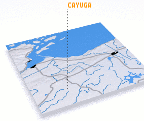 3d view of Cayuga