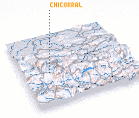 3d view of Chicorral