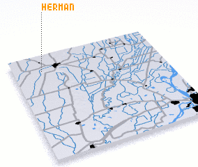 3d view of Herman