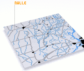 3d view of Nalle