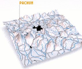 3d view of Pachum