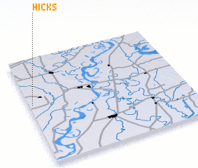 3d view of Hicks