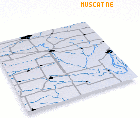 3d view of Muscatine