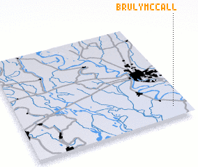 3d view of Bruly McCall