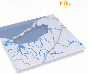 3d view of Pital