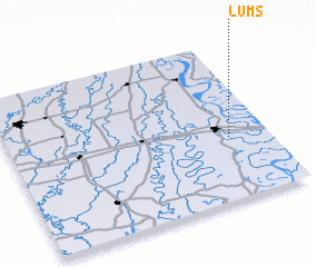 3d view of Lums