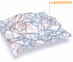 3d view of Llano Coyote