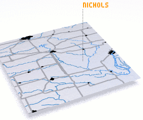 3d view of Nichols