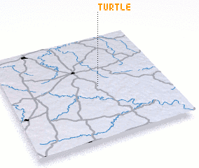 3d view of Turtle