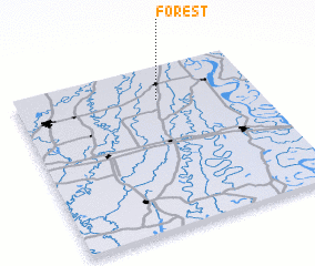 3d view of Forest