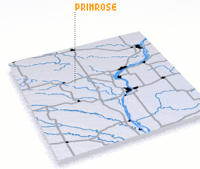 3d view of Primrose