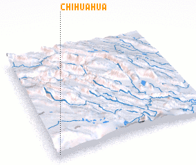 3d view of Chihuahua