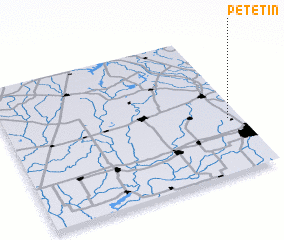 3d view of Petetin