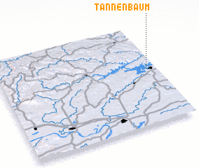 3d view of Tannenbaum