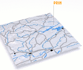 3d view of Prim