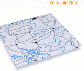 3d view of Cole Junction