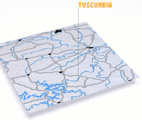 3d view of Tuscumbia