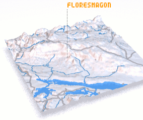 3d view of Flores Magón