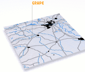 3d view of Grape