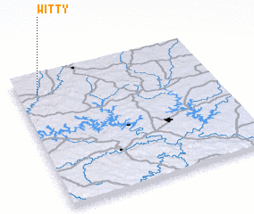 3d view of Witty