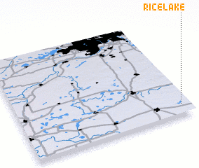 3d view of Rice Lake