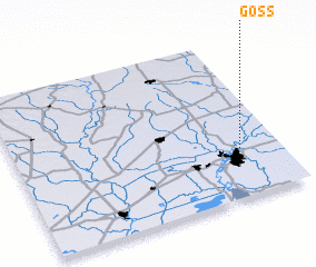 3d view of Goss