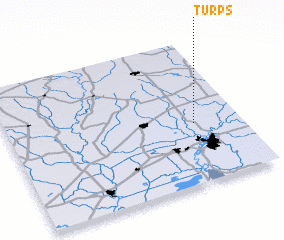 3d view of Turps