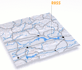 3d view of Ross