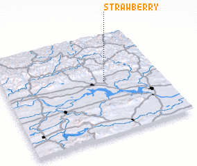 3d view of Strawberry