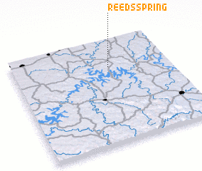 3d view of Reeds Spring