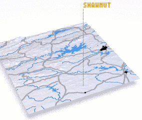 3d view of Shawmut