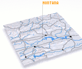 3d view of Montana
