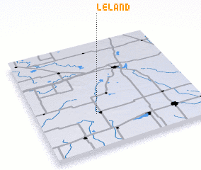 3d view of Leland