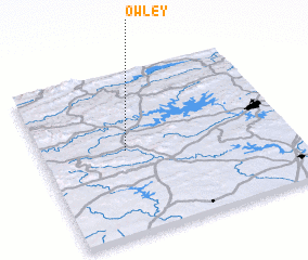 3d view of Owley