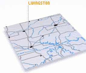 3d view of Livingston