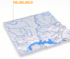 3d view of Palo Blanco