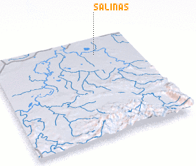 3d view of Salinas